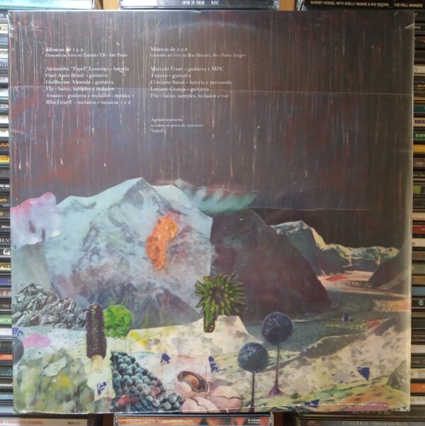 LP Flu - Rocks 2013 (Novo/Lacrado) - Image 2