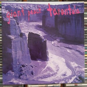 LP Giant Peach – Tarantula 2016