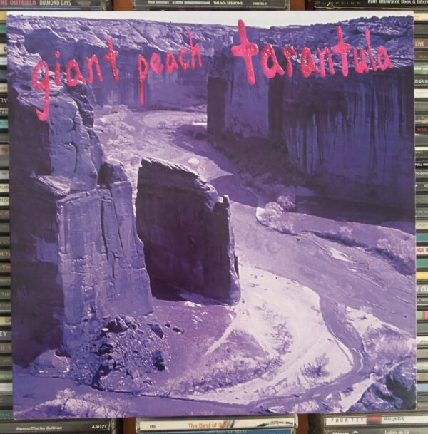 LP Giant Peach – Tarantula 2016