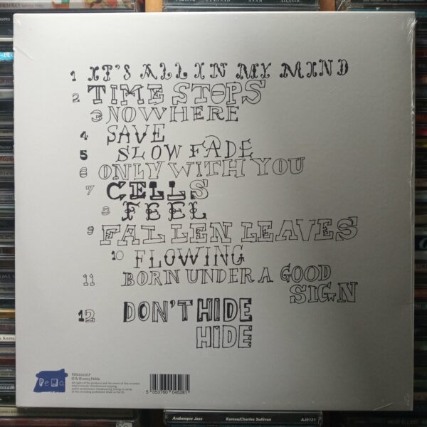 LP Teenage Fanclub – Man-Made 2005 REED. 2018 (Novo/Lacrado) - Image 2