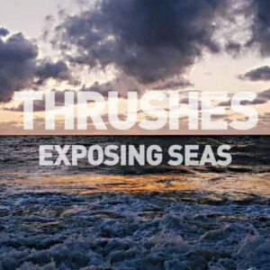 LP Thrushes – Exposing Seas 2015 (NOVO/LACRADO)